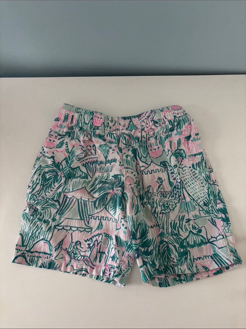 Lilly Pulitzer
Boys shorts